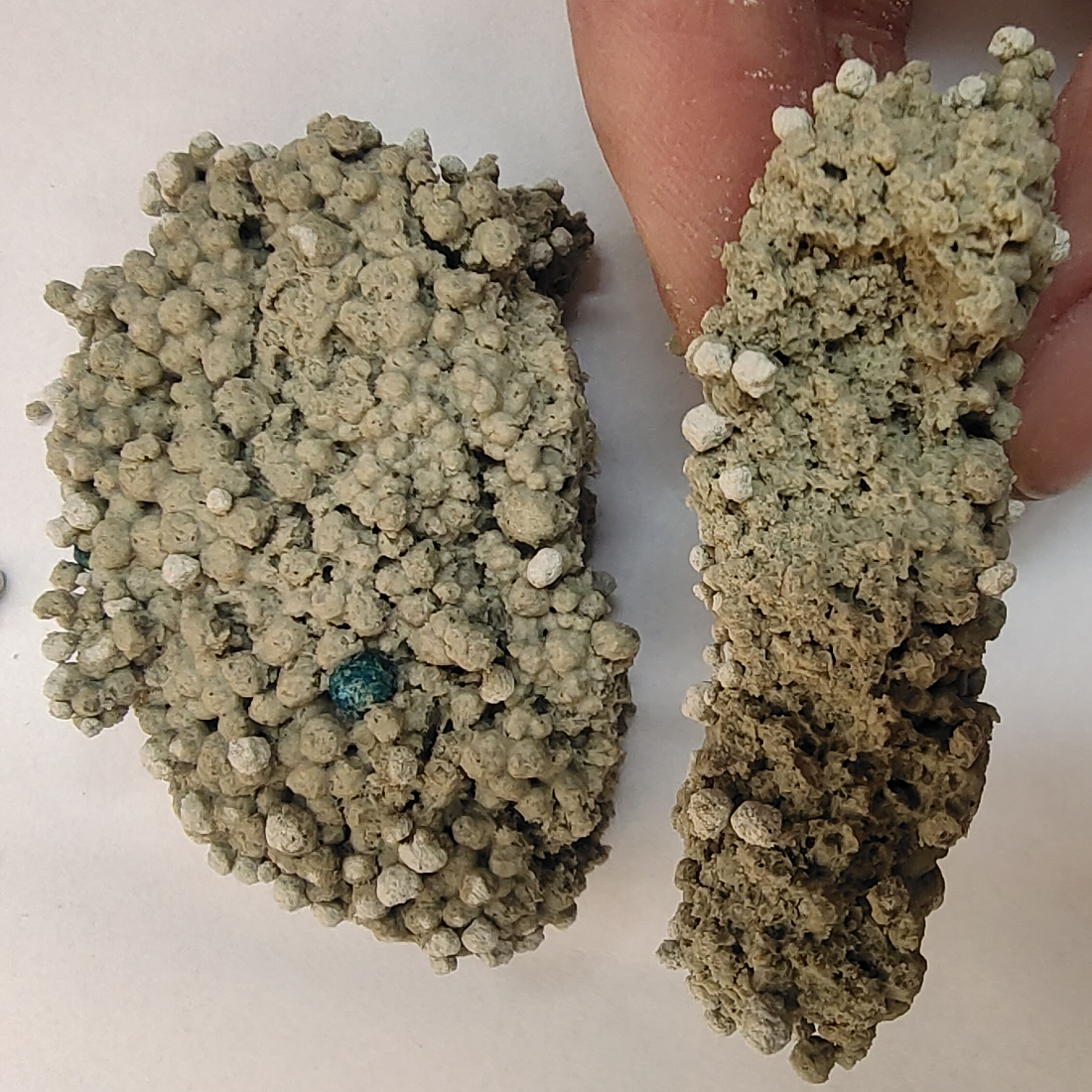 Carbon Bentonite Cat Litter